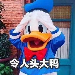 娱乐吃瓜姐买鸭,揭秘“吃瓜姐买鸭”背后的故事